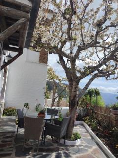 Casa Alpujarreña Fina Número 27 - Bubión - 2