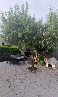 Parenthèse caumontoise . - 2