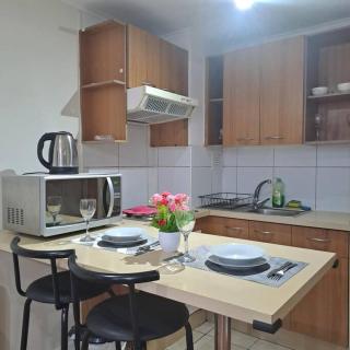 hermoso departamento - Santiago - 0