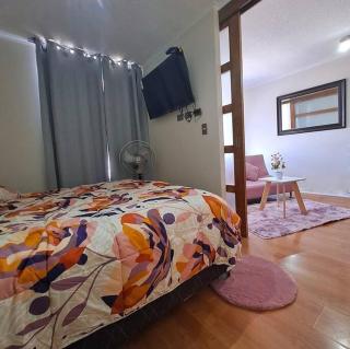 hermoso departamento - Santiago - 5
