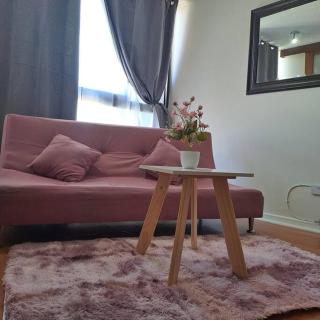 hermoso departamento - Santiago - 4
