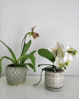 Charmerende villalejlighed på 80 kvm inklusiv gårdhave - 1