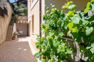 Il Cirro sul Conero - 1