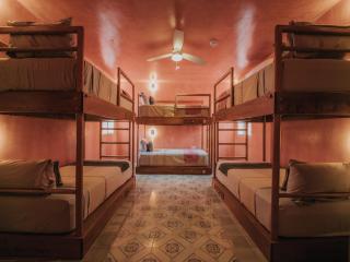 Casa Amate 61 Boutique Hostel - 4