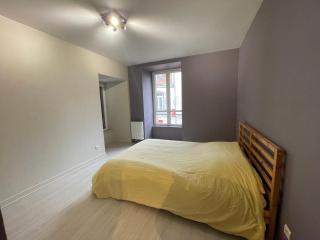 Appartement porte du cantal - Massiac - 7