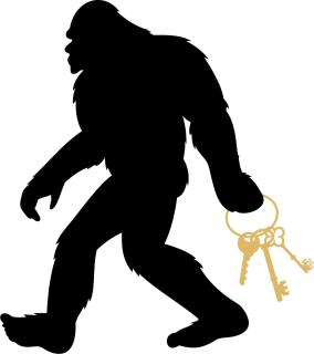 Sasquatch Lode CD Sleeps 22 - Gatlinburg - 9