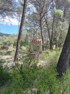 La maison du rouquet - Le Beausset - 6