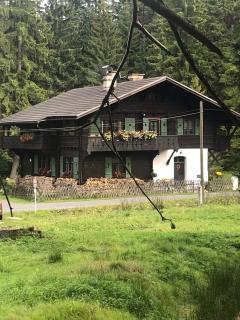 Apartment Chalet Kladska - Mariánské Lázně - 0