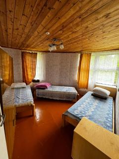 Vasaras mājiņa pie Rāznas ezera Nr 3 - Kaunata - 2