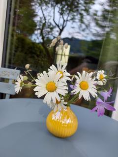 s`Hauserl 311 - Altaussee - 5
