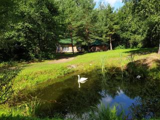 Pūču māja/Owl house namiņš Ogrē - Ogre - 5