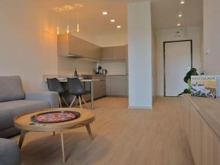 Luxury 2 Room Apartment nr4 by Bratislavatrip - Bratislava - 8