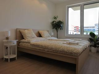 Luxury 2 Room Apartment nr4 by Bratislavatrip - Bratislava - 4