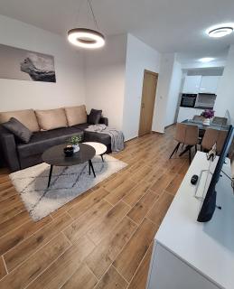 Apartman WIN Sokobanja - Soko Banja - 3