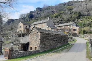 la clède aux lamas - 9