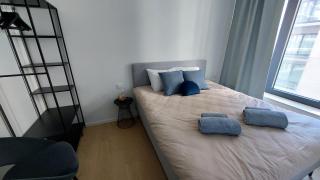 Wolf & Sea - Ostende - 1