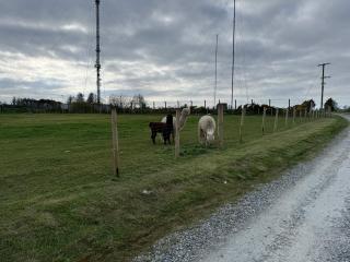 Sheriffs Mountain Lodge - Derry Londonderry - 3