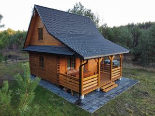 Domek letniskowy Drewniana Chata w Borowcu - - 0