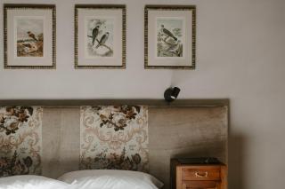 ALMA bed & breakfast - Alba - 3