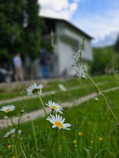 Riverstone Retreat - Jajce - 5
