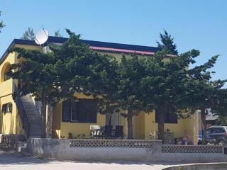 Apartments with parking space Vir - Torovi - Vir - Pedinka, Vir - 22373 - 7