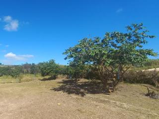 RANCHO PÉ DA SERRA - Capitólio - 3