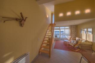 Eisvogel Classic 304 - 2