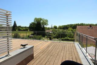 Schneeeule 209 - Granzow - 8
