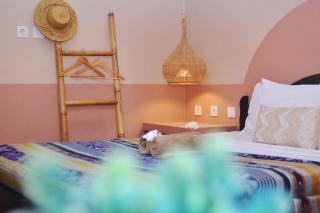 Mango Tree House - Gili Trawangan - 8
