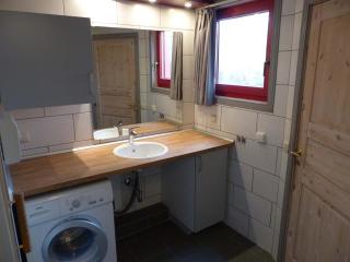 Wildgans 273 - Mirow - 1