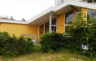 Haubentaucher 80 - Rechlin - 8