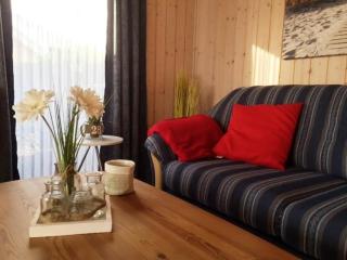 Haubentaucher 80 - Rechlin - 5