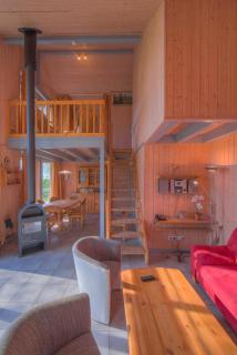 Wildgans Classic 25 - 4