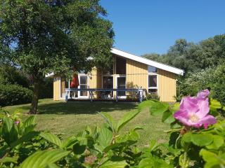 Seeschwalbe 18 - Rechlin - 1