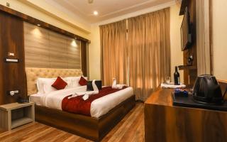 Hotel Grand Nest - Dharamshala - 1
