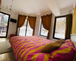 Vila Mama Jana - Buşteni - 2