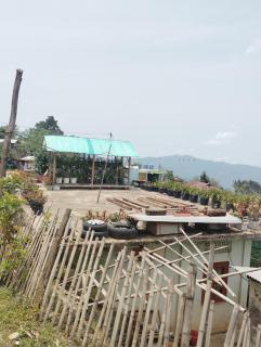 Aqhe Homestay - 4