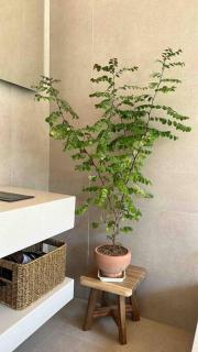 Suncheon 20 days hanok private stay - Suncheon - 3