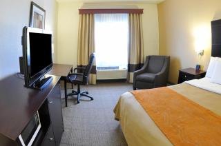 Comfort Inn & Suites - Paw Paw - 8