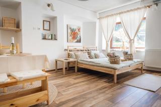 Apartma Roner - Podbrdo - 8