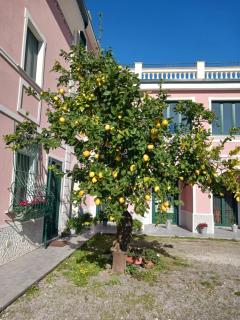 Guest House Cifrino - Giffoni Sei Casali - 3