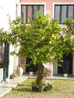 Guest House Cifrino - Giffoni Sei Casali - 2