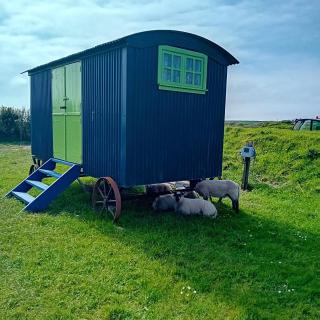 Coast path camping - Saint Ishmaels - 0