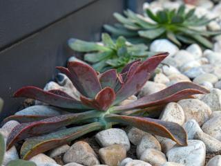 Velddrif Riverside Guesthouse - Velddrif - 4