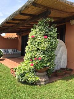 Dream holiday in Cala Granu - Porto Cervo - 2