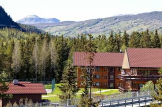 Actif 106 - Hallingheim apartment ski inn/ski ut - 0