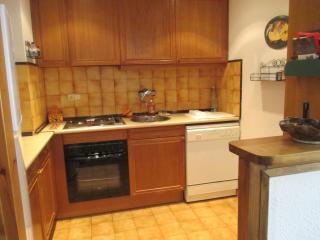 Appartement au Pla de l'Ermita dans la Vallée de BoÏ , Pyrénées Catalanes - Pla de l'Ermita - 8