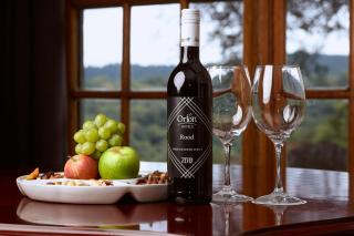 Coach House Hotel & Spa Tzaneen - Tzaneen - 1