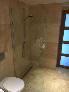 Ancient house in modern style with large pool - 7