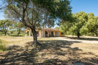 Holiday home in Orosei - Nuoro (Provinz) 48229 - Orosei - 3